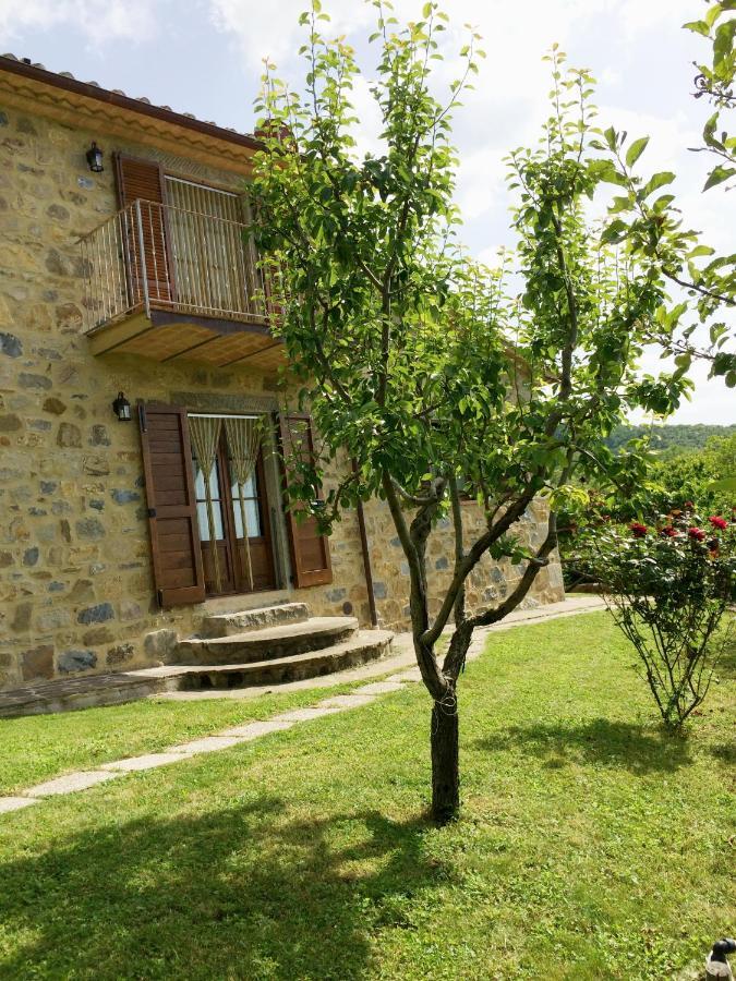 Agriturismo Ombianco Seggiano Exteriör bild